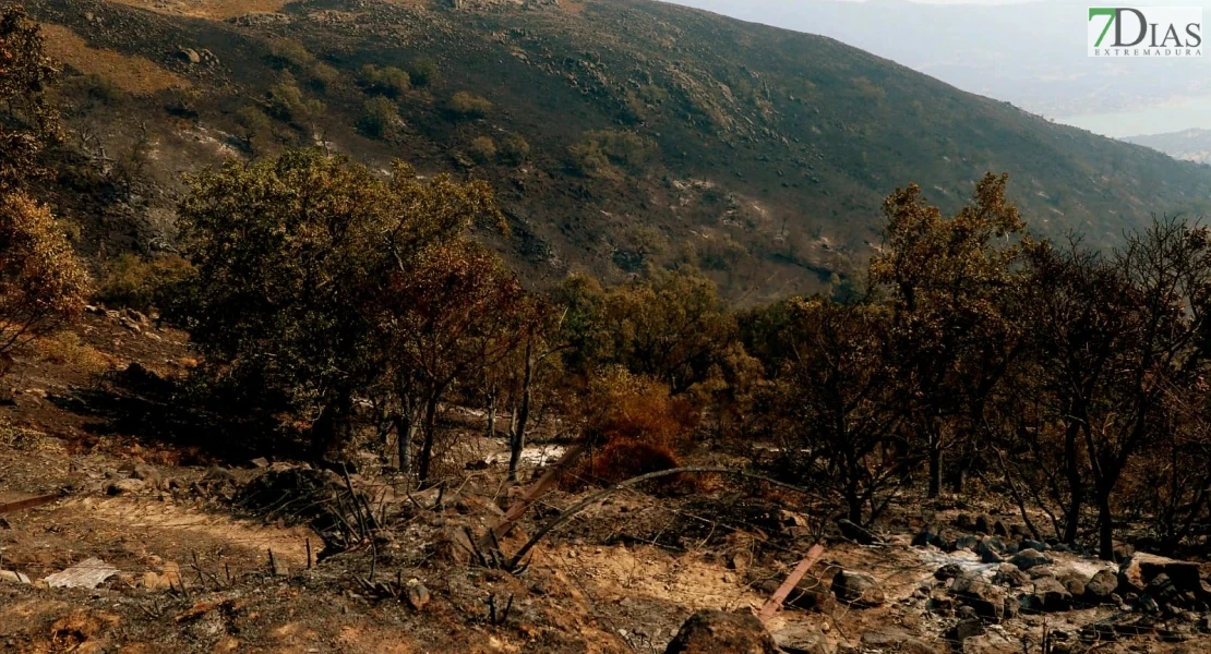 OPINIÓN: Convivir sin lágrimas con el fuego catastrófico mitigado de los montes