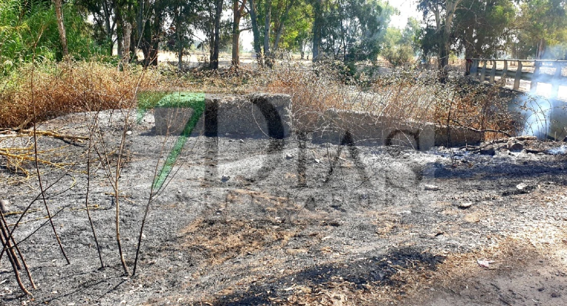 Incendio forestal entre Pueblonuevo y Talavera la Real