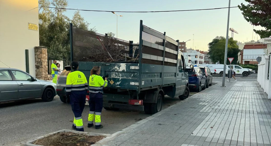 Denuncian la gestión cdel arbolado urbano en Badajoz: "Se plantan a 40 grados y después se talan vivos"
