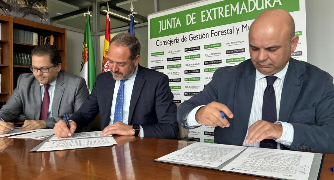 Los afectados por los incendios de este verano tendrán asistencia jurídica gratuita en Extremadura