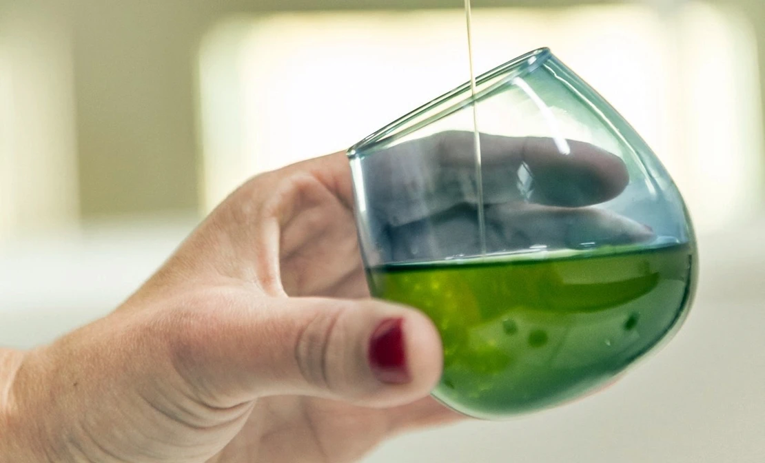Nueva ´Cata-Concurso de Aceites de Oliva Virgen Extra Cosecha Temprana’