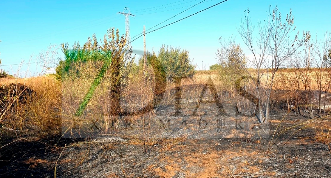 Los bomberos extinguen un incendio frente al Centro Penitenciario de Badajoz