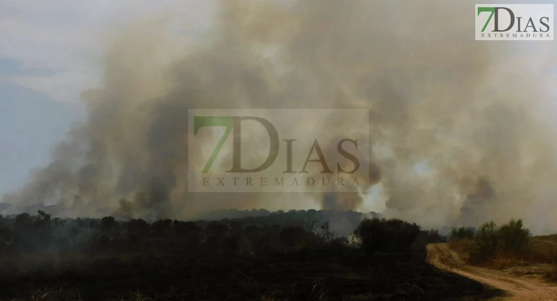 Incendio forestal entre Villafranco del Guadiana y Alvarado en el término municipal de Badajoz
