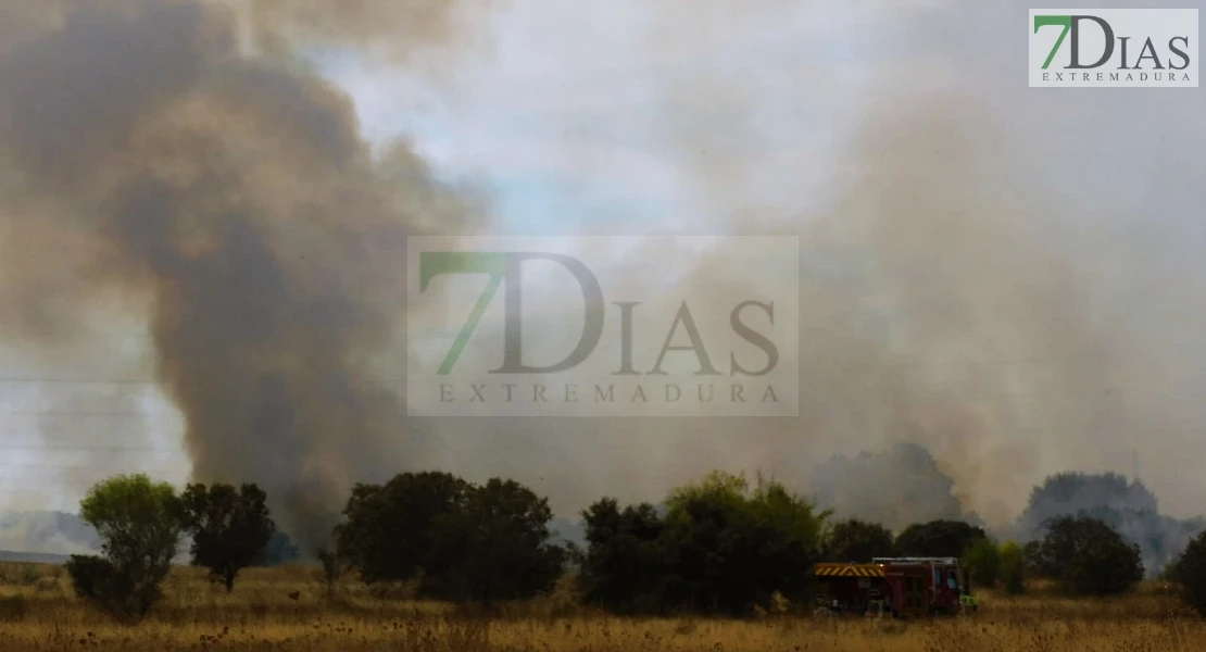 Incendio forestal entre Villafranco del Guadiana y Alvarado en el término municipal de Badajoz