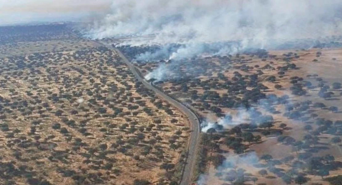Siete personas investigadas por incendios forestales en la provincia de Cáceres