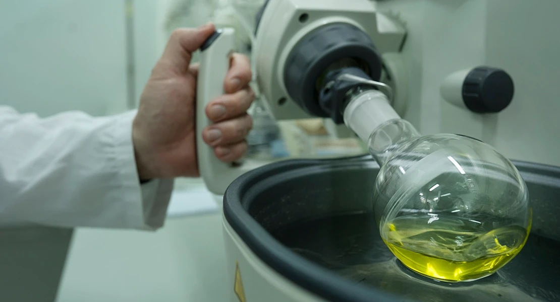 CICYTEX organiza una jornada para mostrar herramientas al sector oleícola