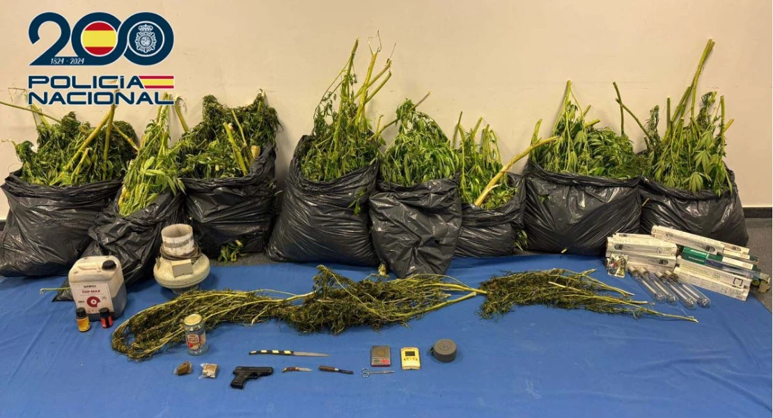 Las quejas por el olor a marihuana lleva a la Policía a descubrir una plantación en Mérida