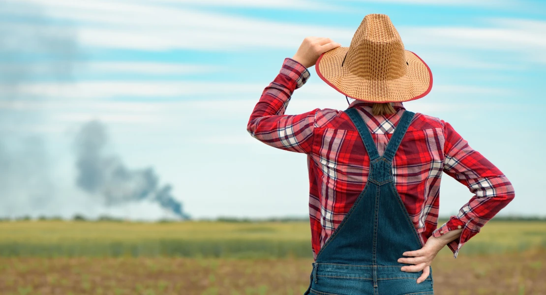 Ganaderos y agricultores contra el decreto de ayudas por los incendios: "Es una chapuza"