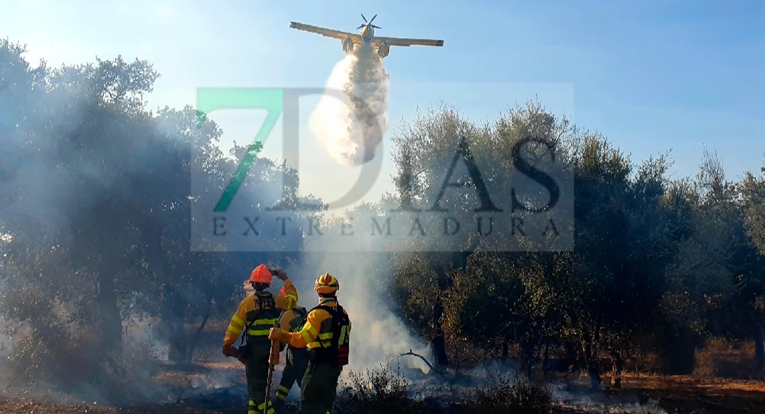 El Infoex cierra la época de incendios con 1.465 incidencias y más de 50.000 hectáreas calcinadas