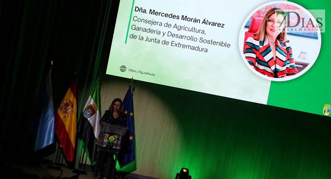 Zafra en el punto de mira nacional gracias a su Feria Internacional Ganadera