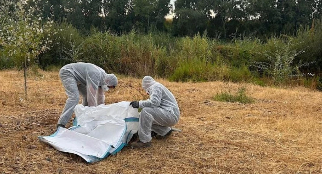 Continúan retirando residuos y enseres que los ciudadanos dejan en el Guadiana Continúan retirando residuos y enseres que los ciudadanos dejan en el Guadiana