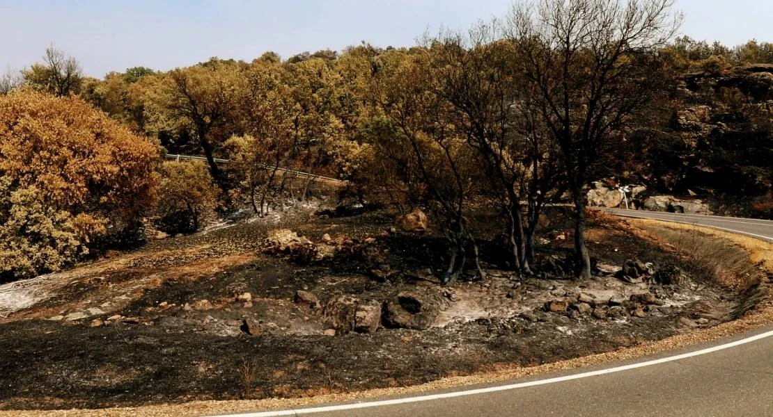 Ecologistas: "Aprovechar la madera en los incendios en Extremadura sería un atentado ecológico”