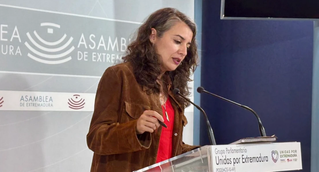 De Miguel, sobre los Presupuestos: "Son la campaña electoral del PP"