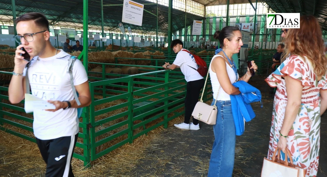 Zafra en el punto de mira nacional gracias a su Feria Internacional Ganadera
