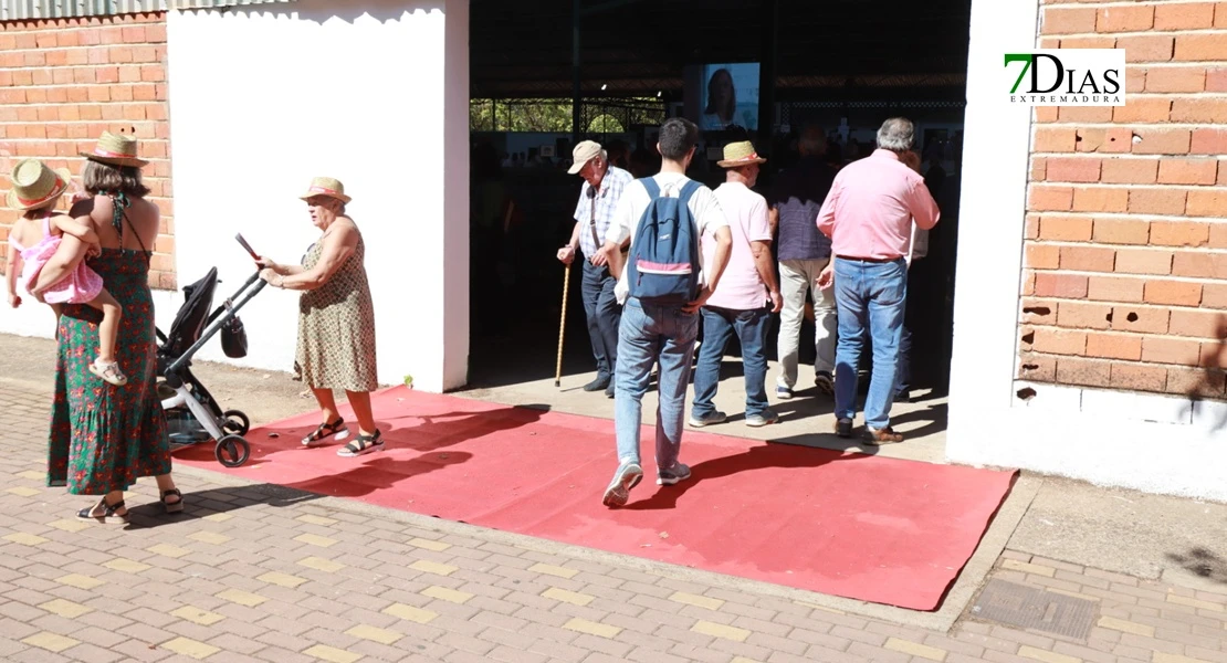 Zafra en el punto de mira nacional gracias a su Feria Internacional Ganadera
