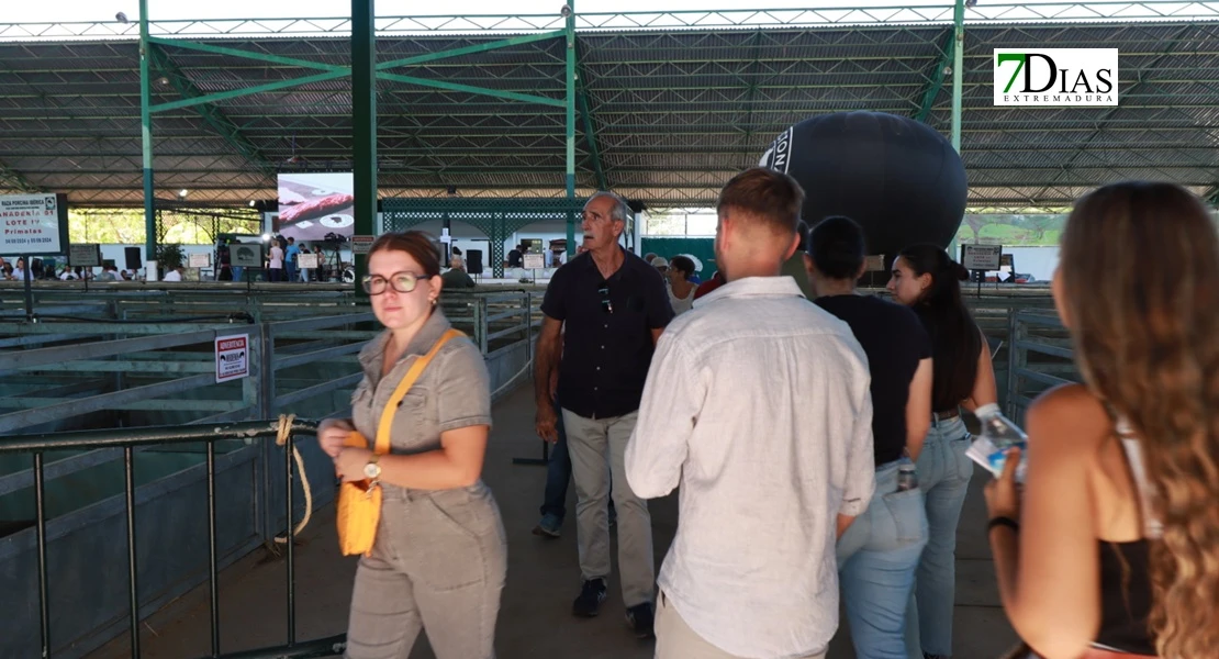 Zafra en el punto de mira nacional gracias a su Feria Internacional Ganadera