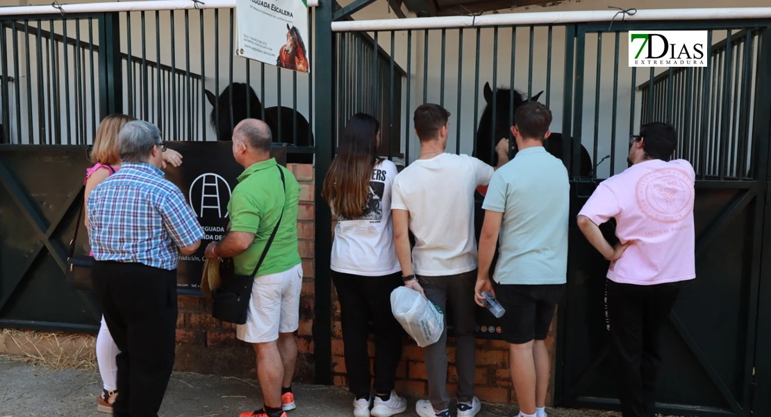 Zafra en el punto de mira nacional gracias a su Feria Internacional Ganadera