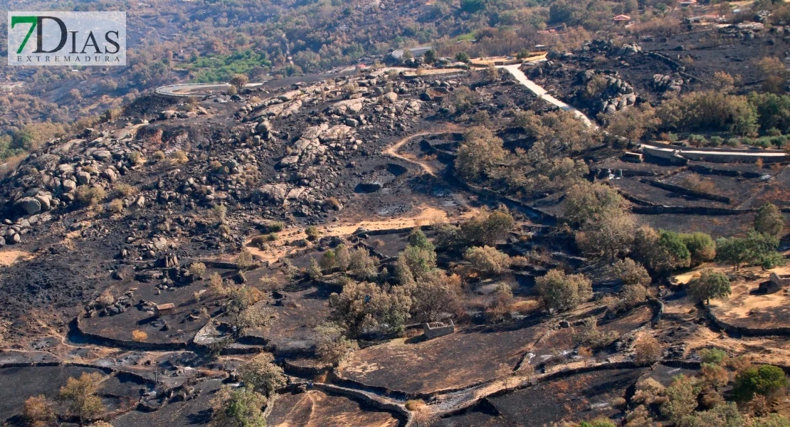 Crítica ecologista al decreto 23/2025: "Se usa el fuego como coartada política"