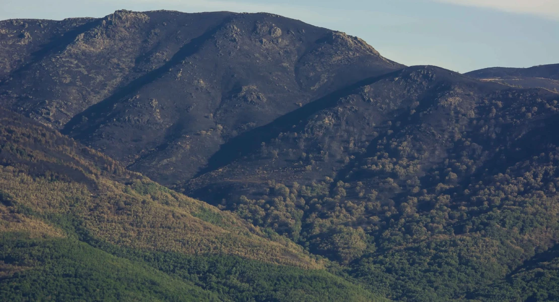 El proyecto de la Junta tras el incendio de Jarilla "puede ser peor que el propio incendio"