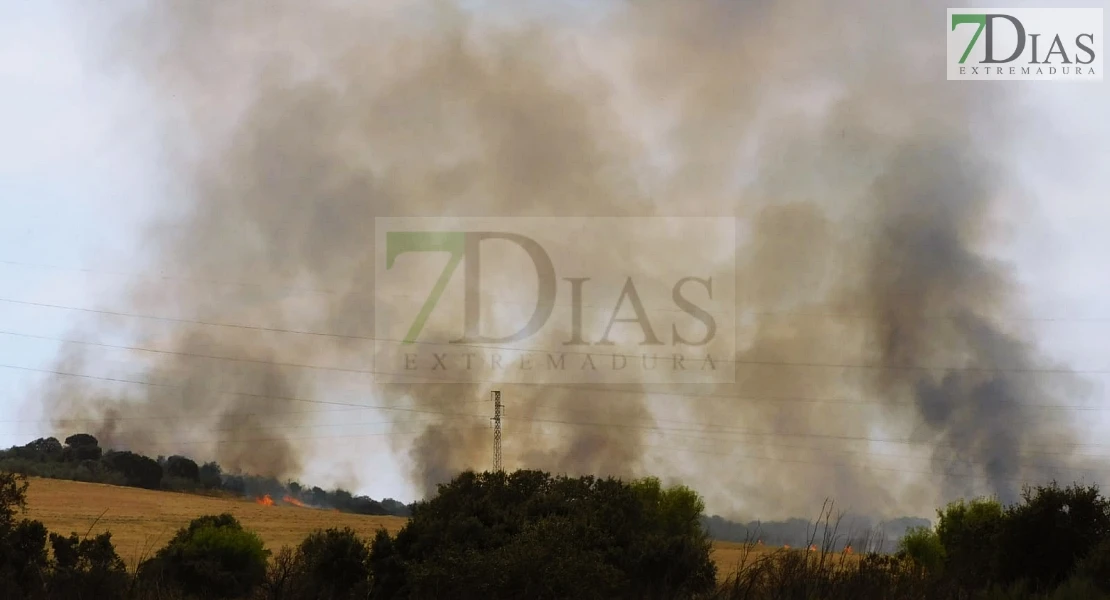 Incendio forestal entre Villafranco del Guadiana y Alvarado en el término municipal de Badajoz