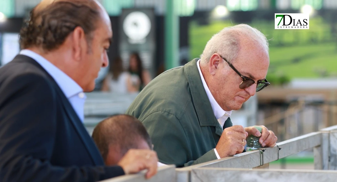 Zafra en el punto de mira nacional gracias a su Feria Internacional Ganadera