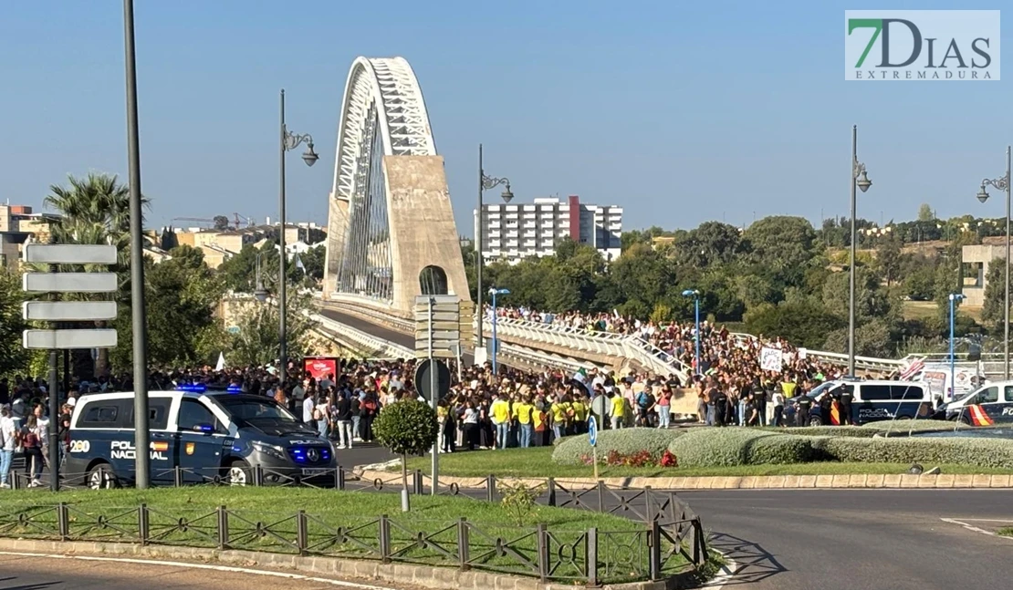 Miles de maestros acuden a la manifestación de Mérida