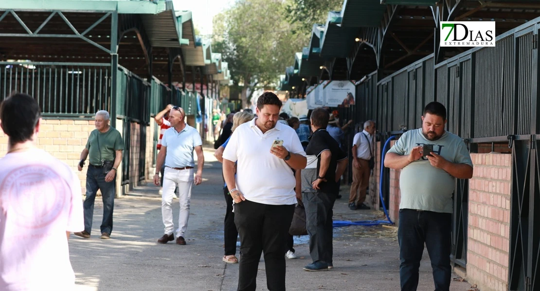 Zafra en el punto de mira nacional gracias a su Feria Internacional Ganadera
