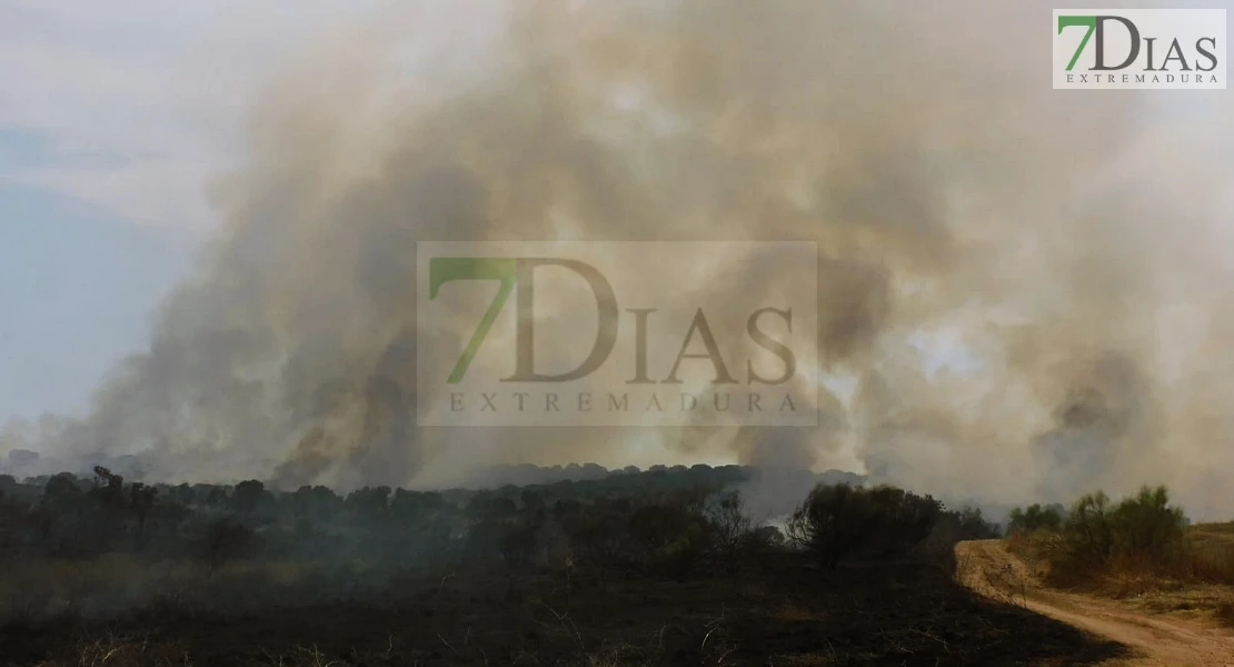Incendio forestal entre Villafranco del Guadiana y Alvarado en el término municipal de Badajoz