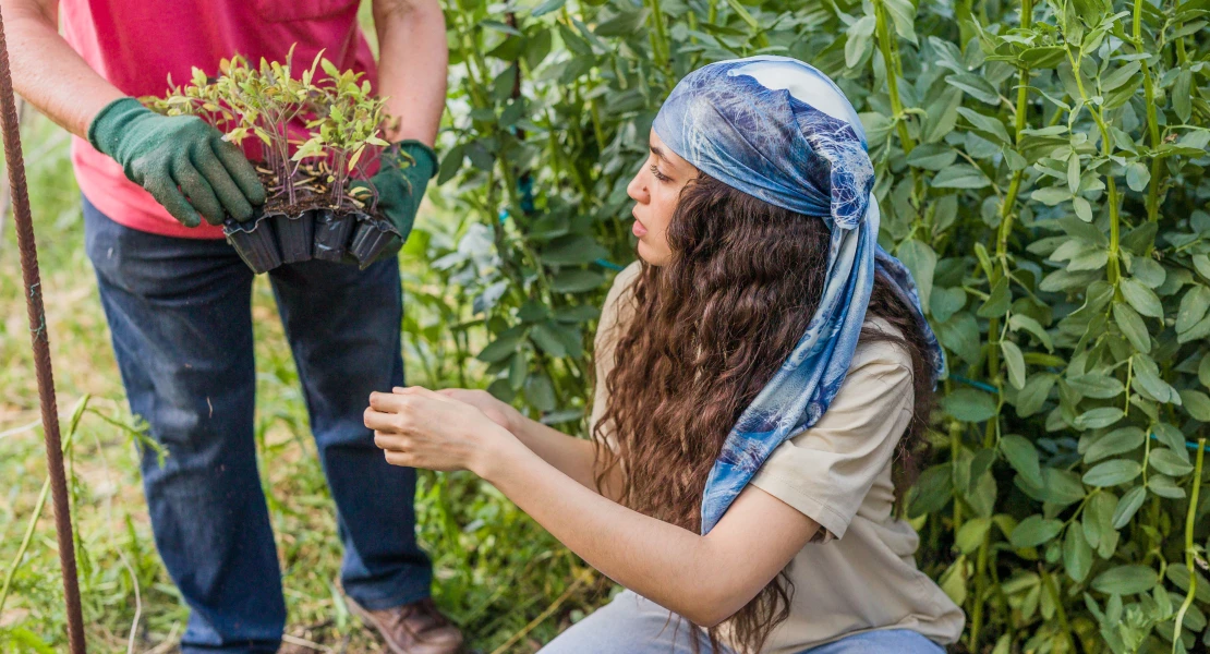 España se consolida como primer país europeo en superficie de producción ecológica