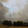 Incendio forestal entre Villafranco del Guadiana y Alvarado en el término municipal de Badajoz