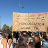 Miles de maestros acuden a la manifestación de Mérida