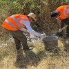 Continúan retirando residuos y enseres que los ciudadanos dejan en el Guadiana