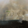 Incendio forestal entre Villafranco del Guadiana y Alvarado en el término municipal de Badajoz
