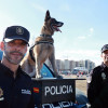 Imágenes del VIII Cross Solidario 091 en Badajoz