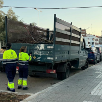 Denuncian la gestión del arbolado urbano en Badajoz: "Se plantan a 40 grados y después se talan vivos"