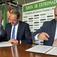 Los afectados por los incendios de este verano tendrán asistencia jurídica gratuita en Extremadura