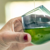 Nueva ´Cata-Concurso de Aceites de Oliva Virgen Extra Cosecha Temprana’