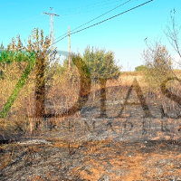 Los bomberos extinguen un incendio frente al Centro Penitenciario de Badajoz