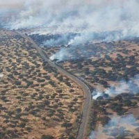 Siete personas investigadas por incendios forestales en la provincia de Cáceres