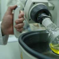 CICYTEX organiza una jornada para mostrar herramientas al sector oleícola