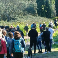 Los socialistas organizan rutas senderistas este domingo: cómo inscribirse