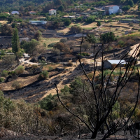 Anuncian ayudas al campo extremeño por los incendios que afectaron a más de 40 municipios