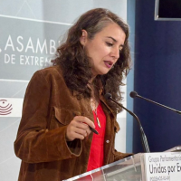 De Miguel, sobre los Presupuestos: "Son la campaña electoral del PP"