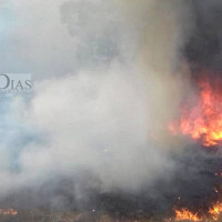 Los incendios forestales no paran: el fuego quema otras 160 hectáreas en Extremadura