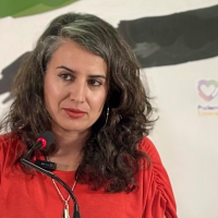 Irene de Miguel: "Los presupuestos están sentenciados" Irene de Miguel: "Los presupuestos están sentenciados"