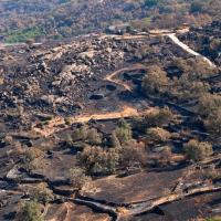 Crítica ecologista al decreto 23/2025: "Se usa el fuego como coartada política"