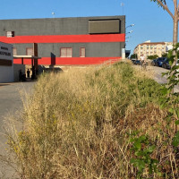 Denuncian el deterioro de los accesos al campo de fútbol Paco Pulido