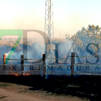 Un incendio en una finca de Badajoz calcina más de un centenar de olivos