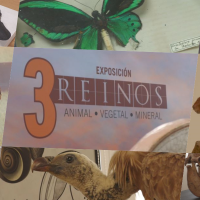 En Badajoz puedes ver especies extinguidas: Cajalmendralejo te da la oportunidad con 'Tres Reinos'