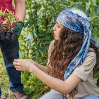 España se consolida como primer país europeo en superficie de producción ecológica